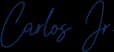 CEO Signature